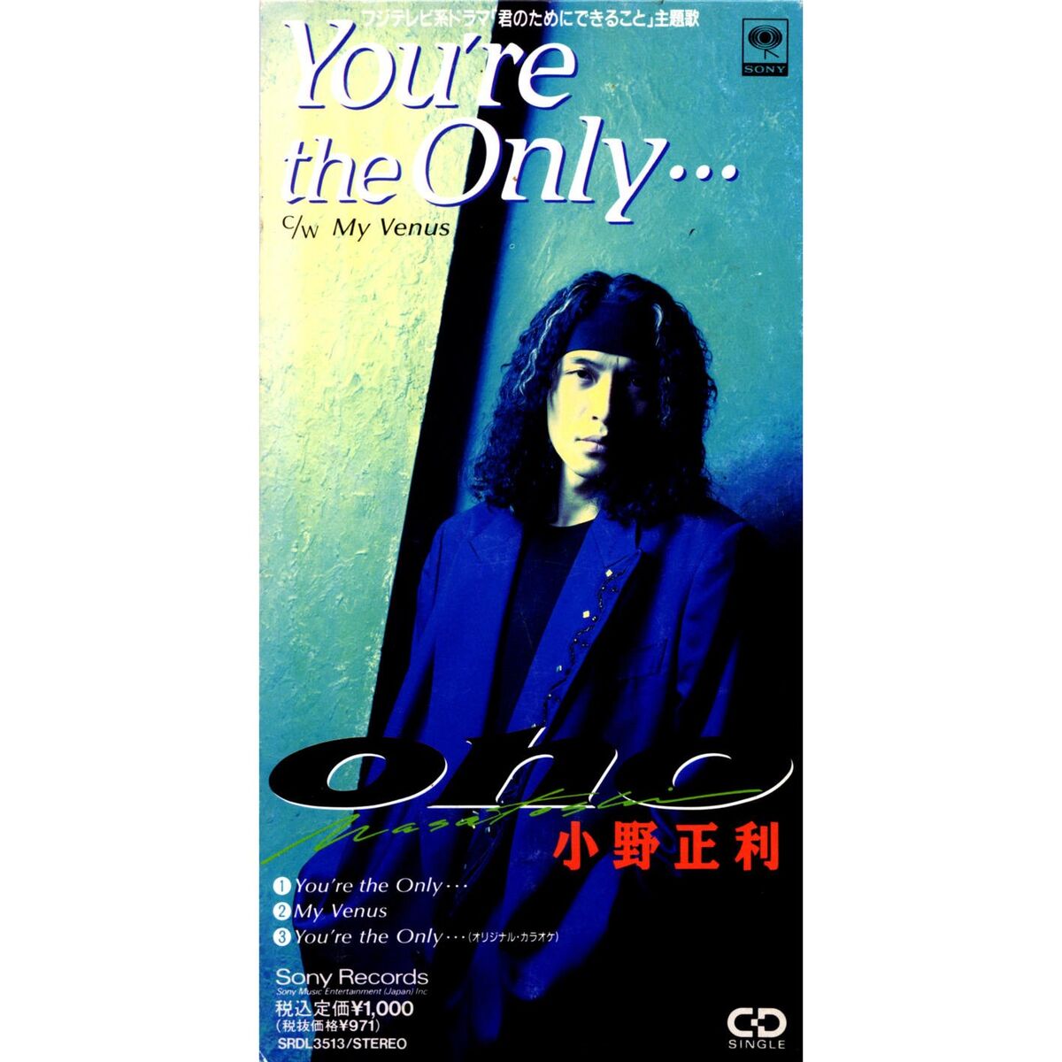 Album cover of You're The Only ... (Original Karaoke)