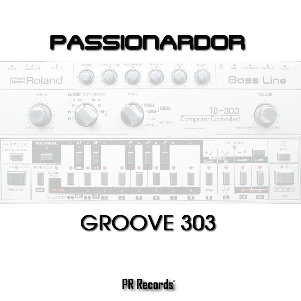 Picture of Groove 303