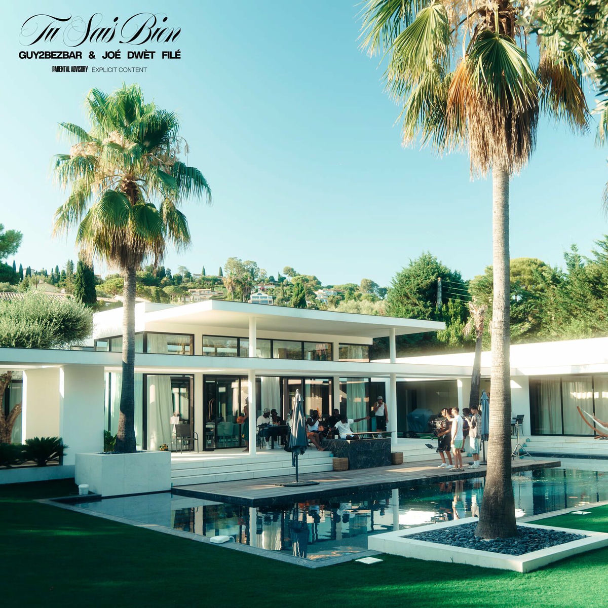 Album cover of Tu sais bien (feat. Joé Dwèt Filé)