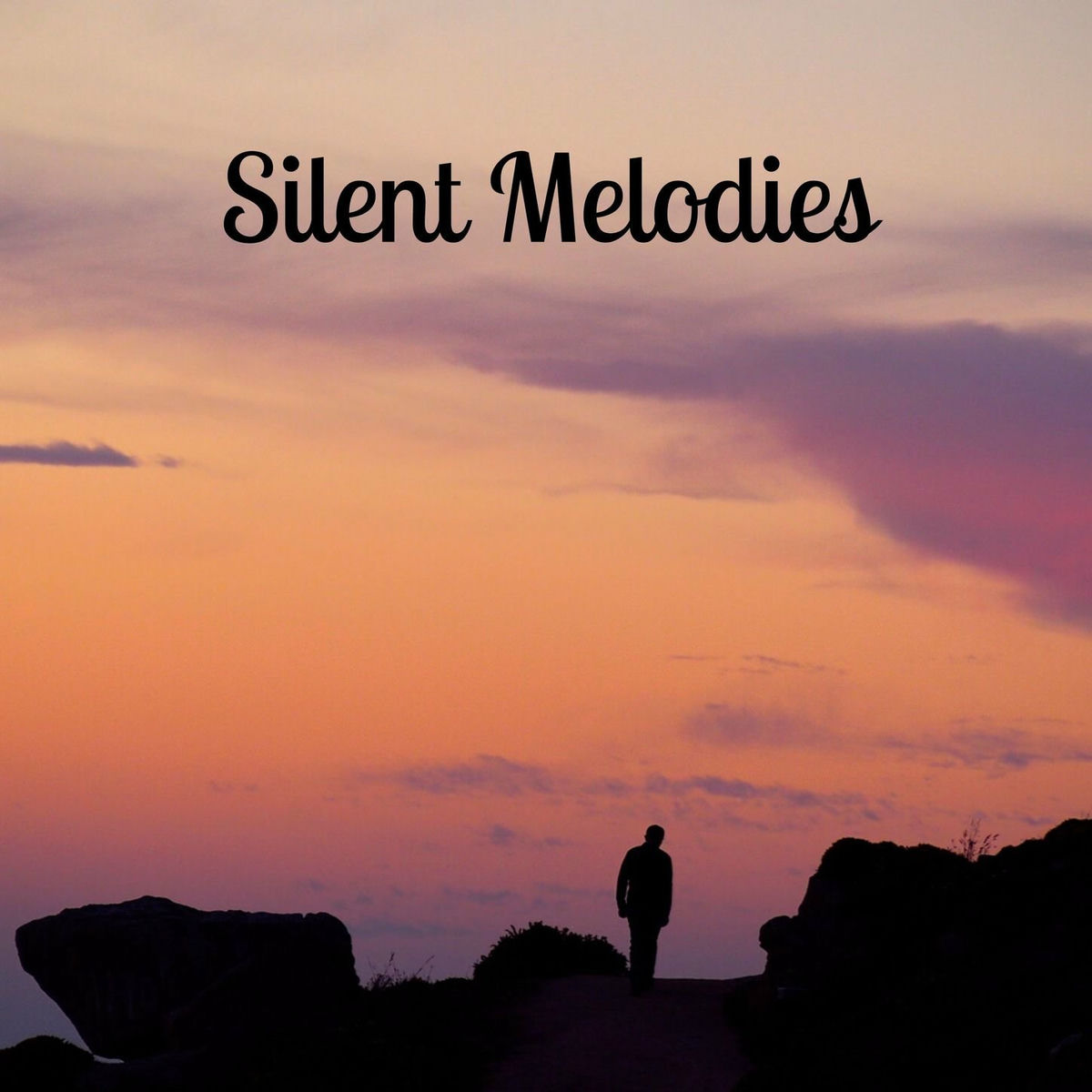 Album cover of Silent Melodies