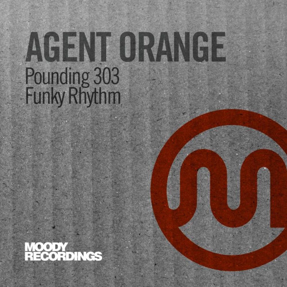 Picture of Pounding 303 / Funky Rhythm