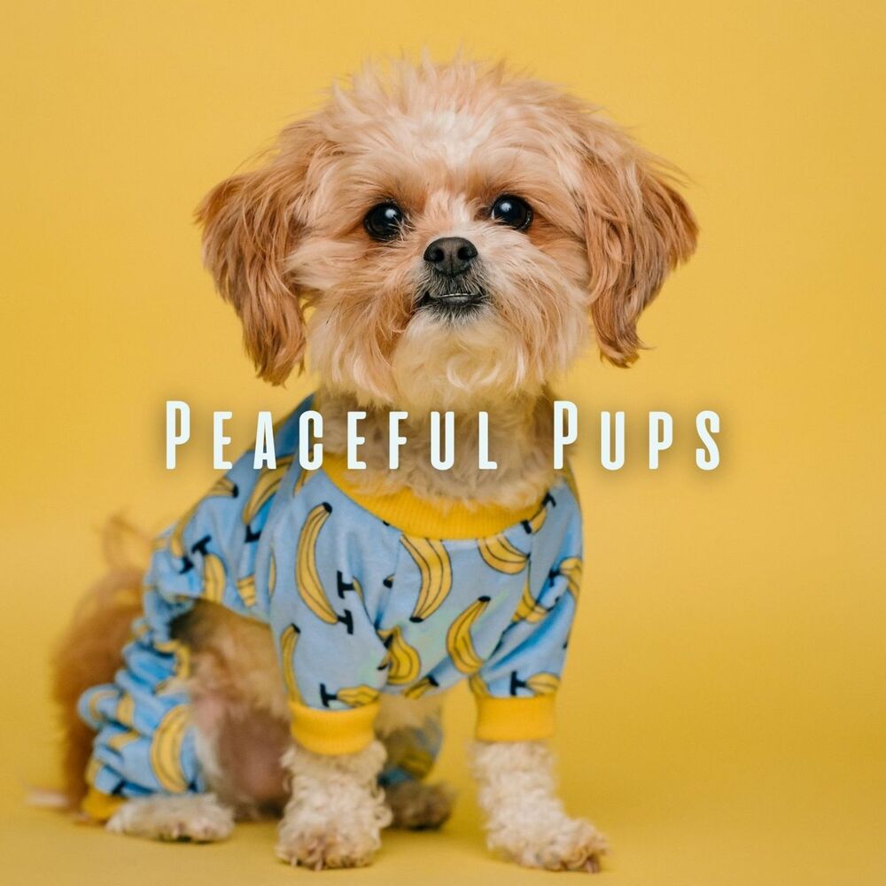 Picture of Peaceful Pups: Relaxing Tunes for Dog's Comfort