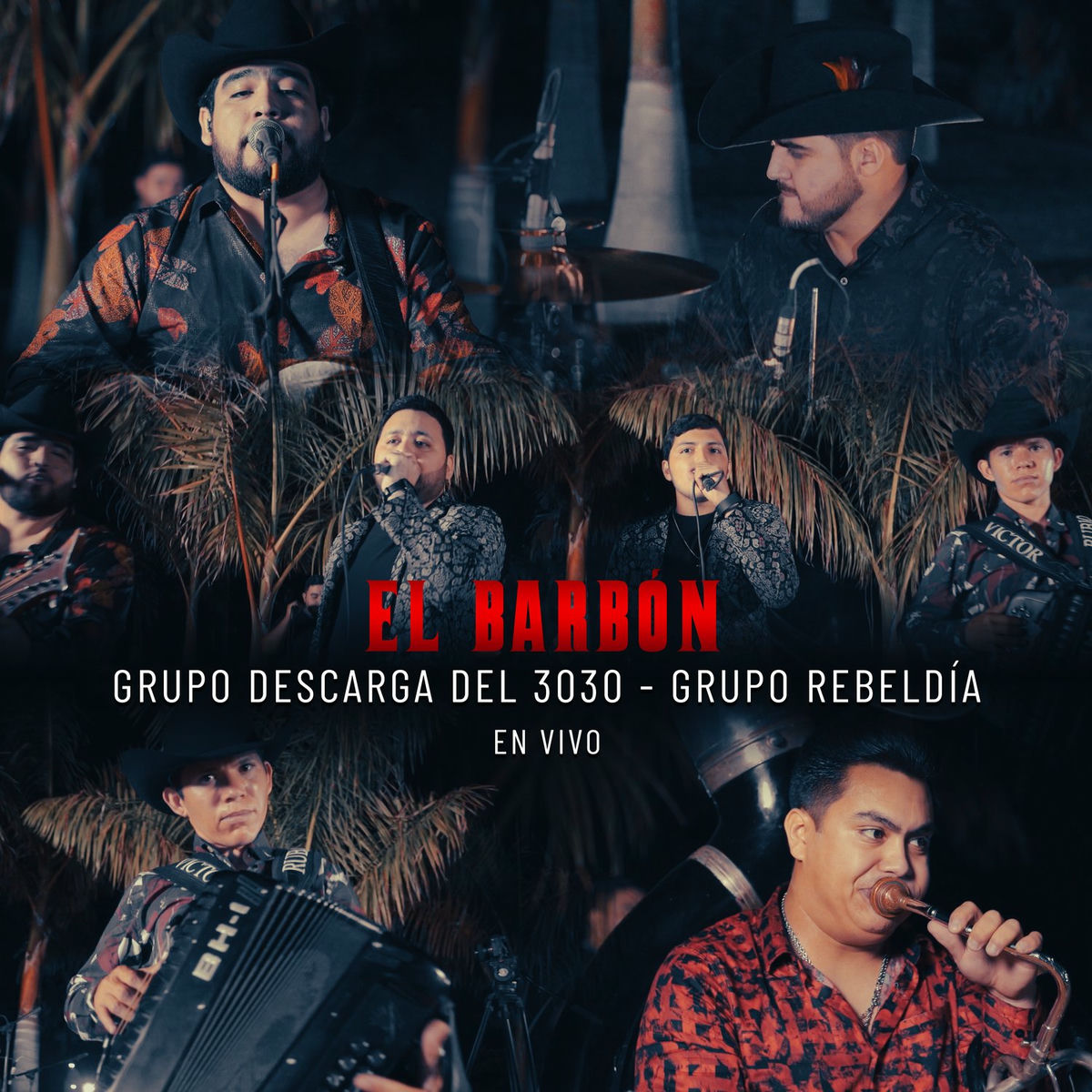 Album cover of El Barbón