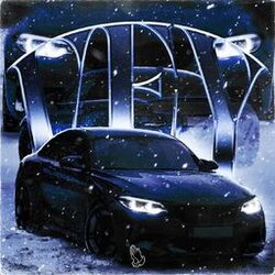 Cover of VEY