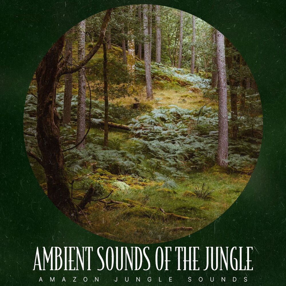 Picture of Ambient Sounds of the Jungle