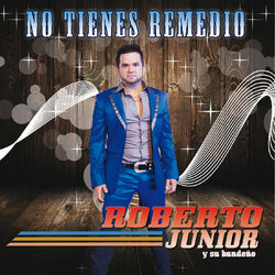 Cover of No Tienes Remedio