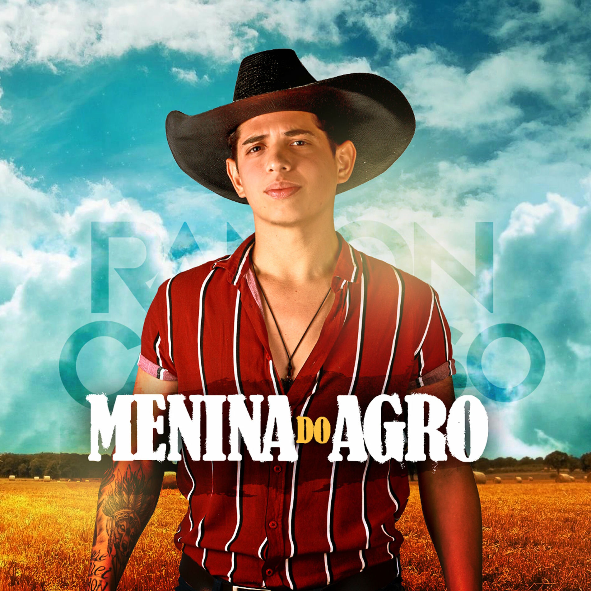 Album cover of Menina do Agro