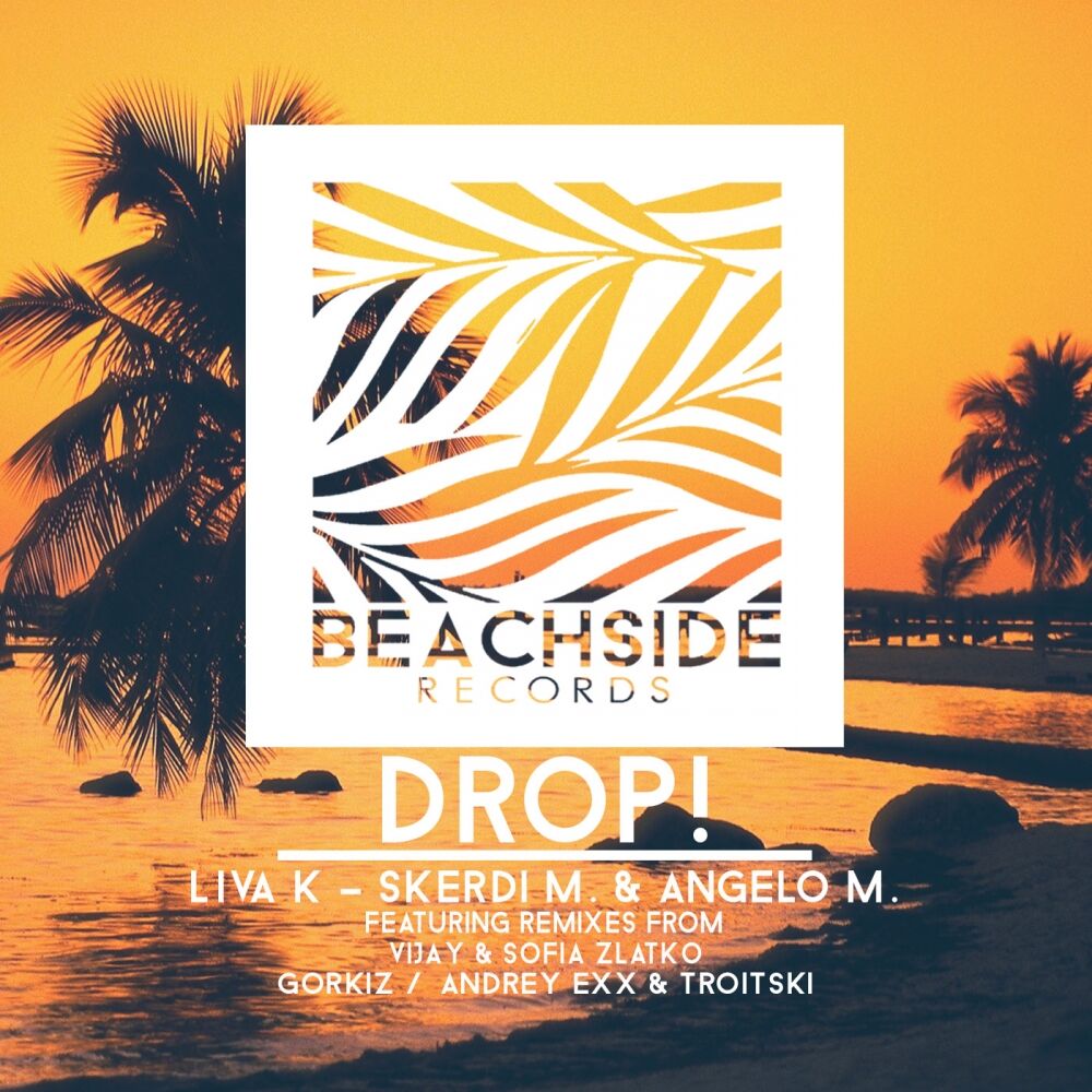 Picture of DROP!
