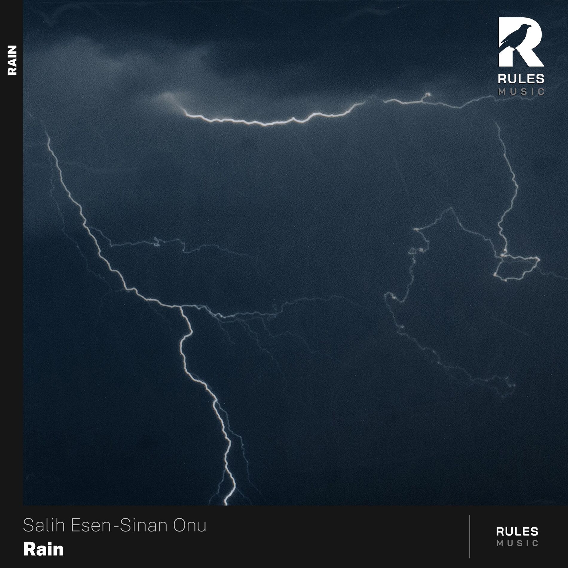 Album cover of Rain