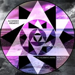 Cover of The Holographic Universe