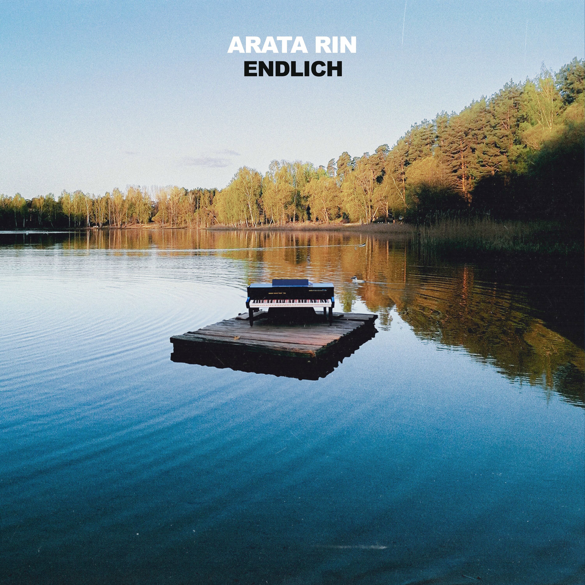 Album cover of Endlich