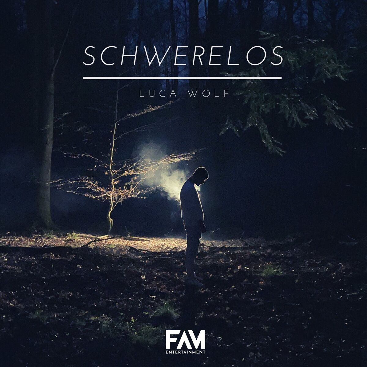 Album cover of Schwerelos
