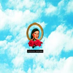 Cover of Sarita Colonia
