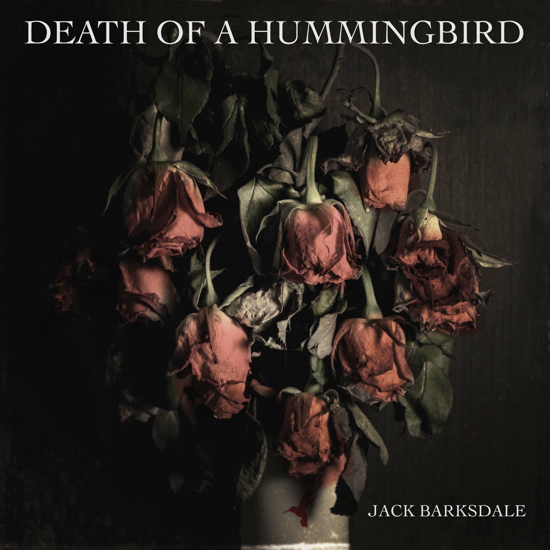 Album cover of Death of a Hummingbird