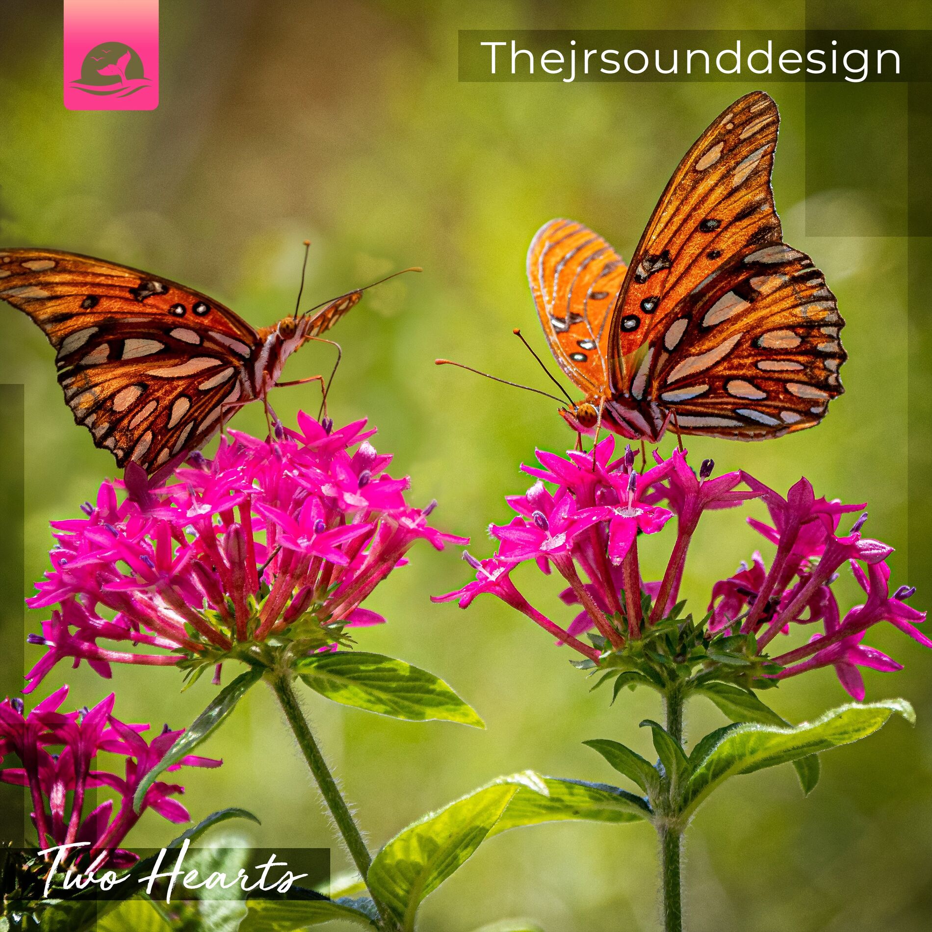 Album cover of Two Hearts
