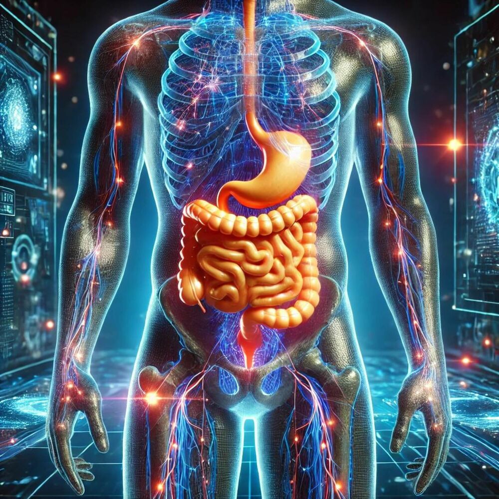 Picture of Harmonious Digestive Flow