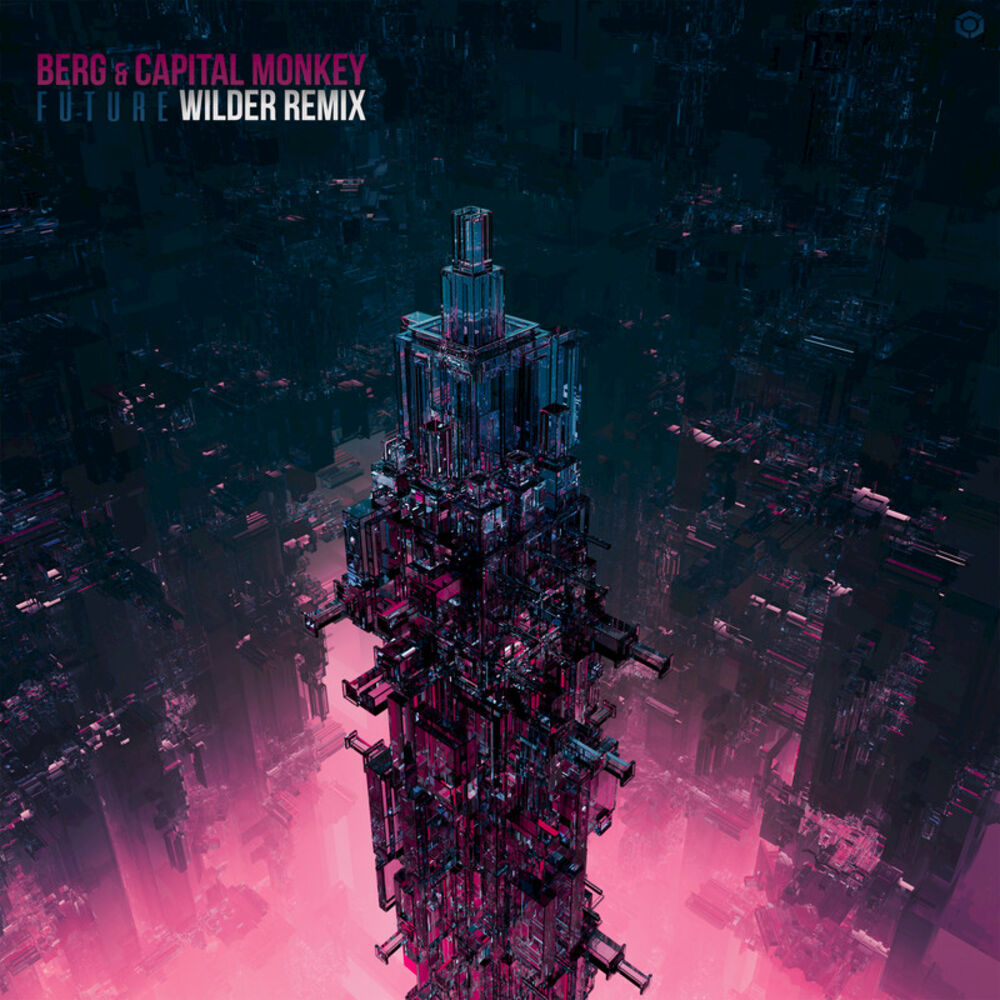 Picture of Future (Wilder Remix)
