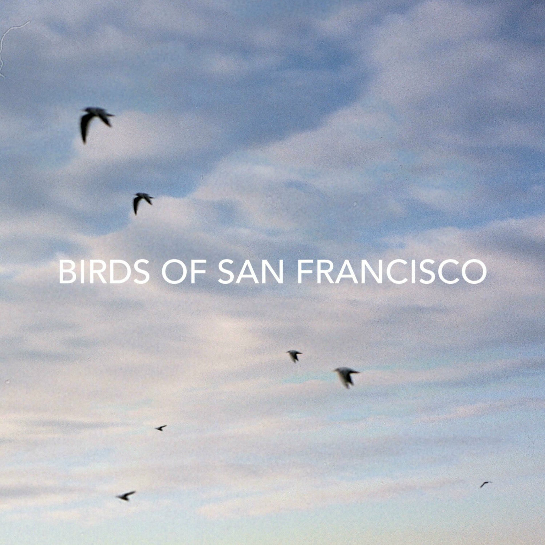 Album cover of Birds Of San Francisco