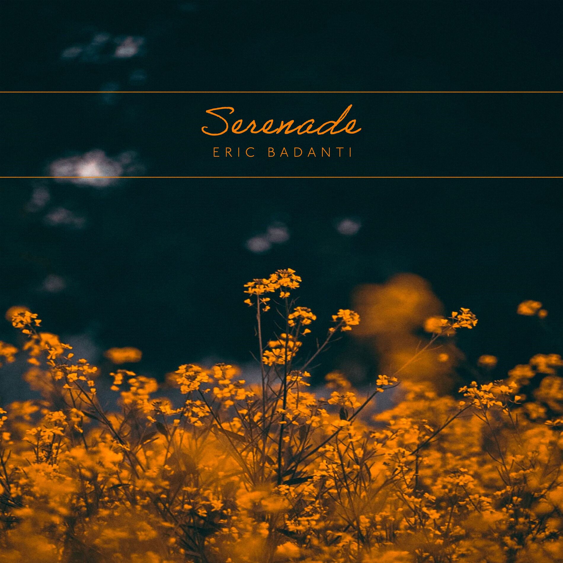 Album cover of Serenade