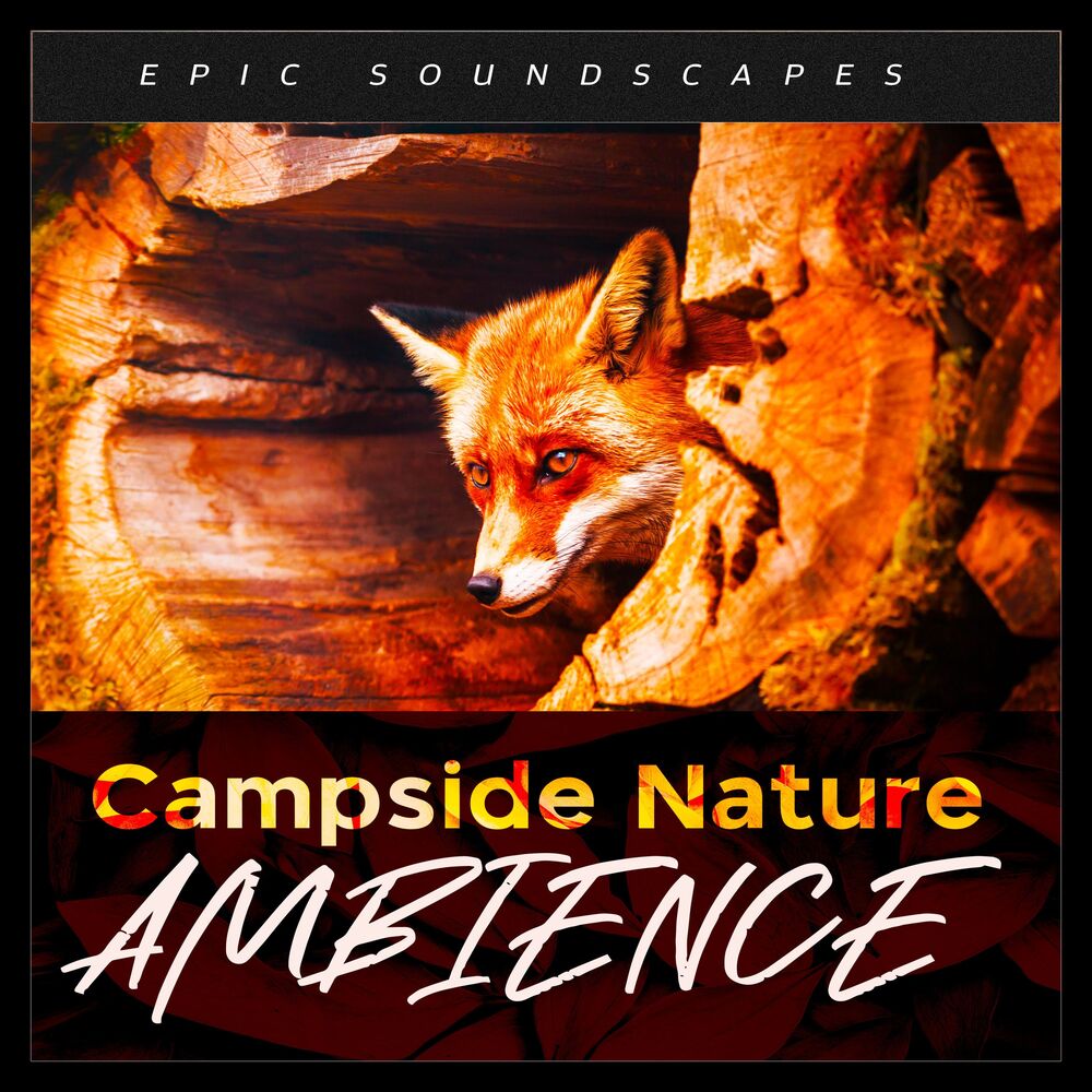 Picture of Campside Nature Ambience