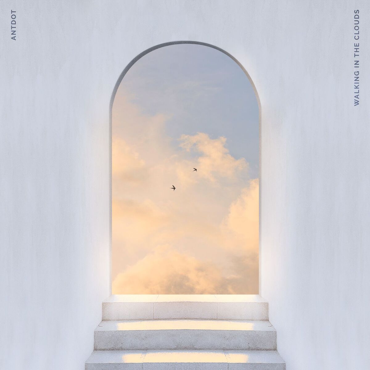 Album cover of Walking In The Clouds