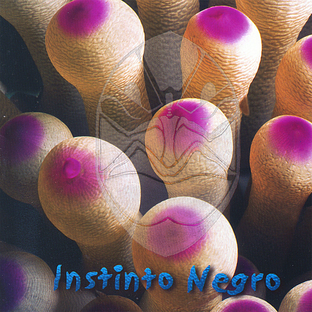 Picture of Instinto Negro