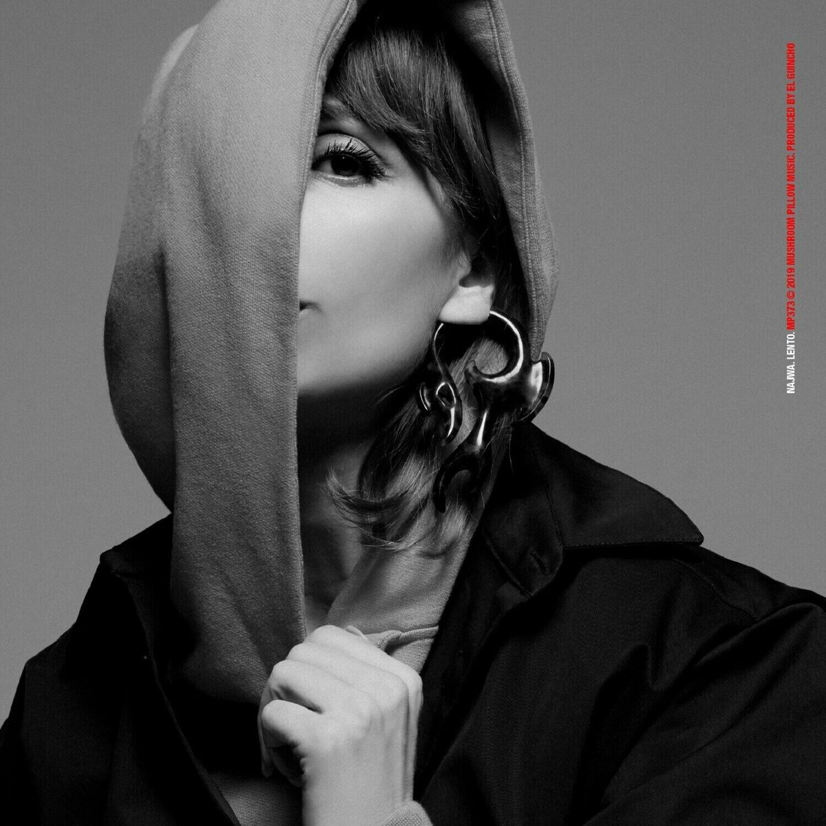 Album cover of Lento