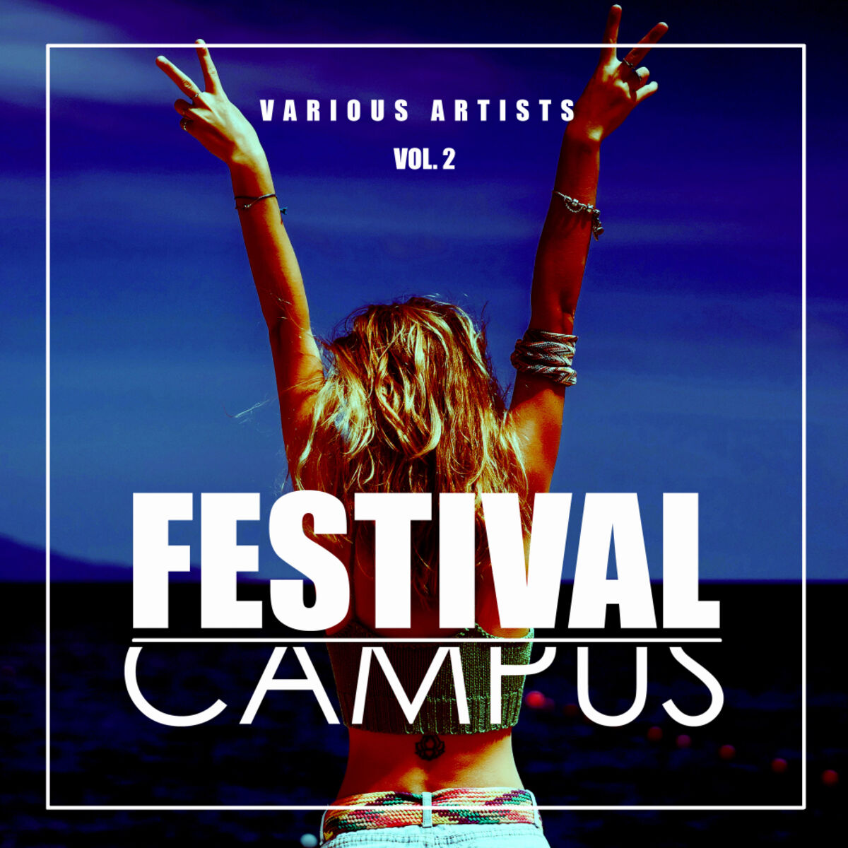 Album cover of Festival Campus, Vol. 2