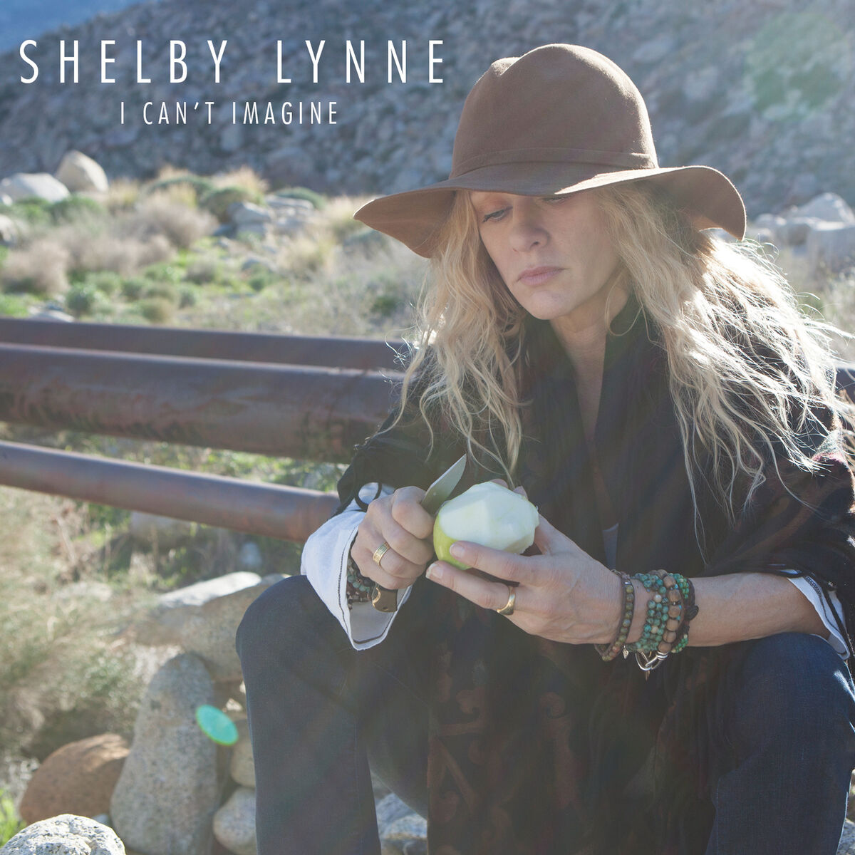 Album cover of I Can't Imagine