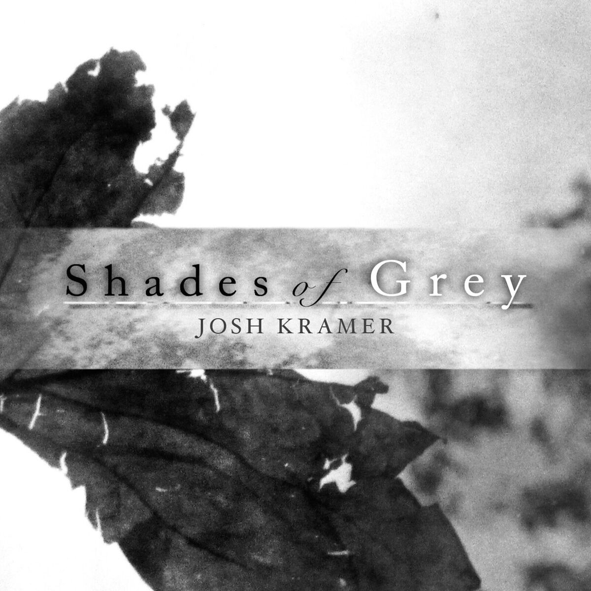 Album cover of Shades of Grey
