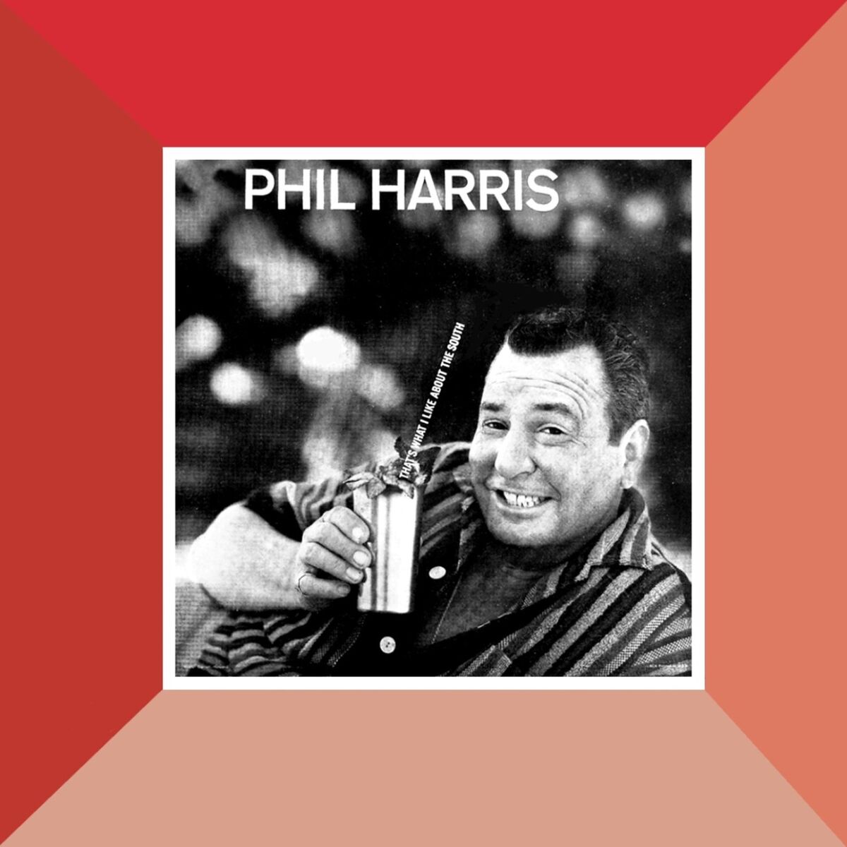 Album cover of That's What I Like About The South