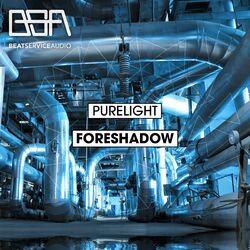 Cover of Foreshadow
