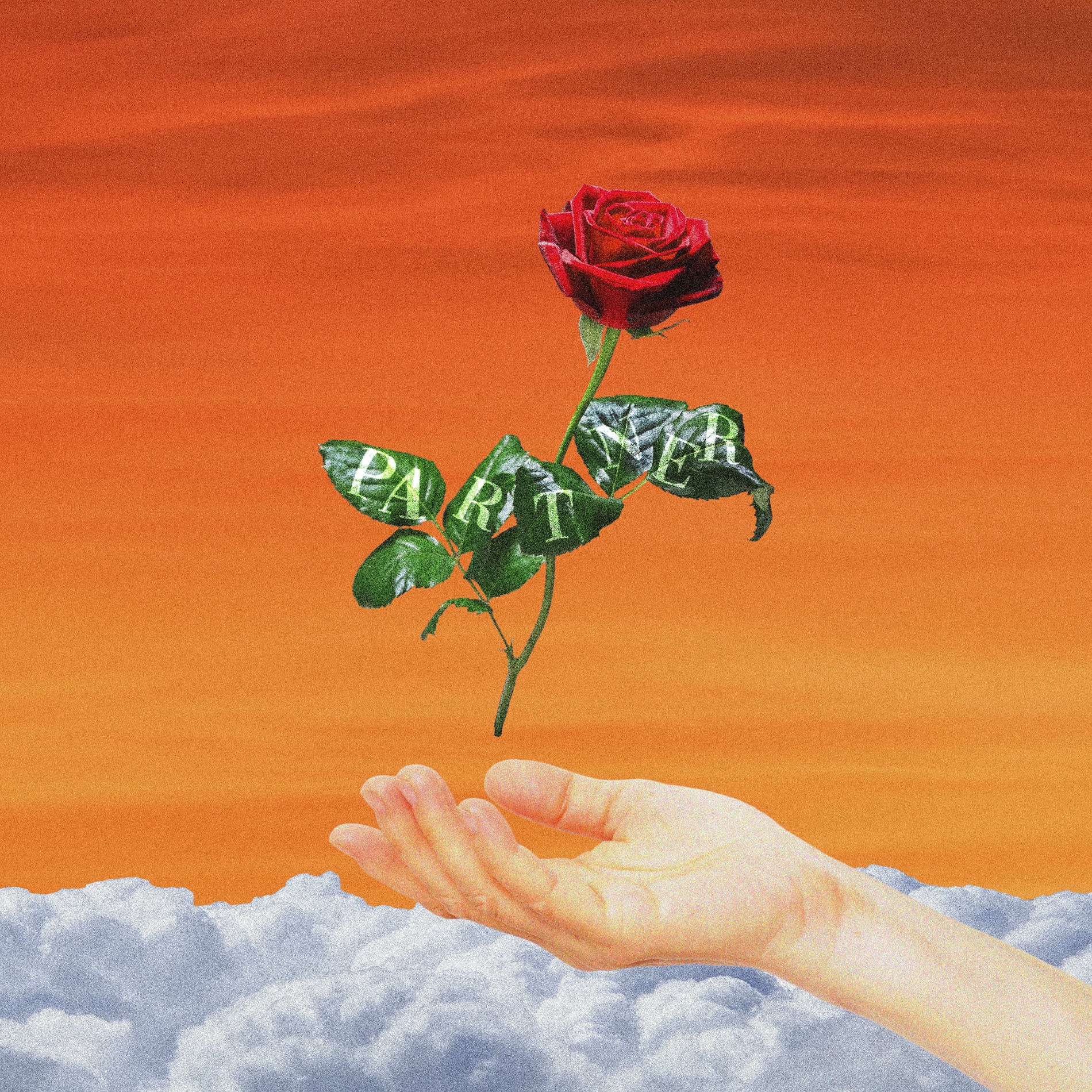 Album cover of PARTNER