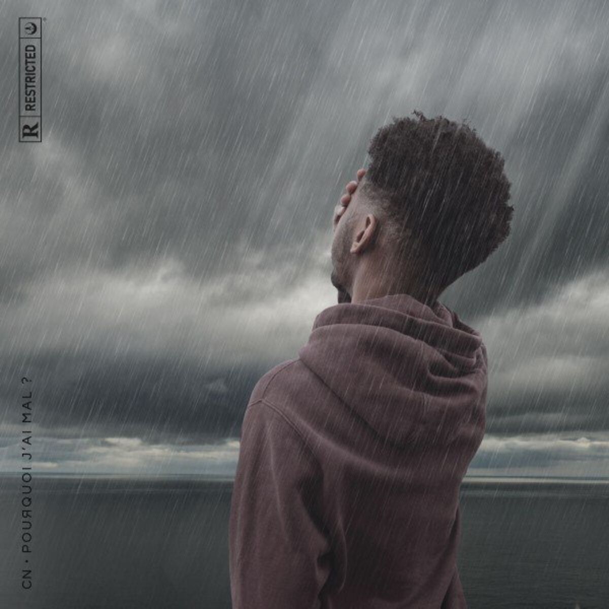 Album cover of Pourquoi j'ai mal ?