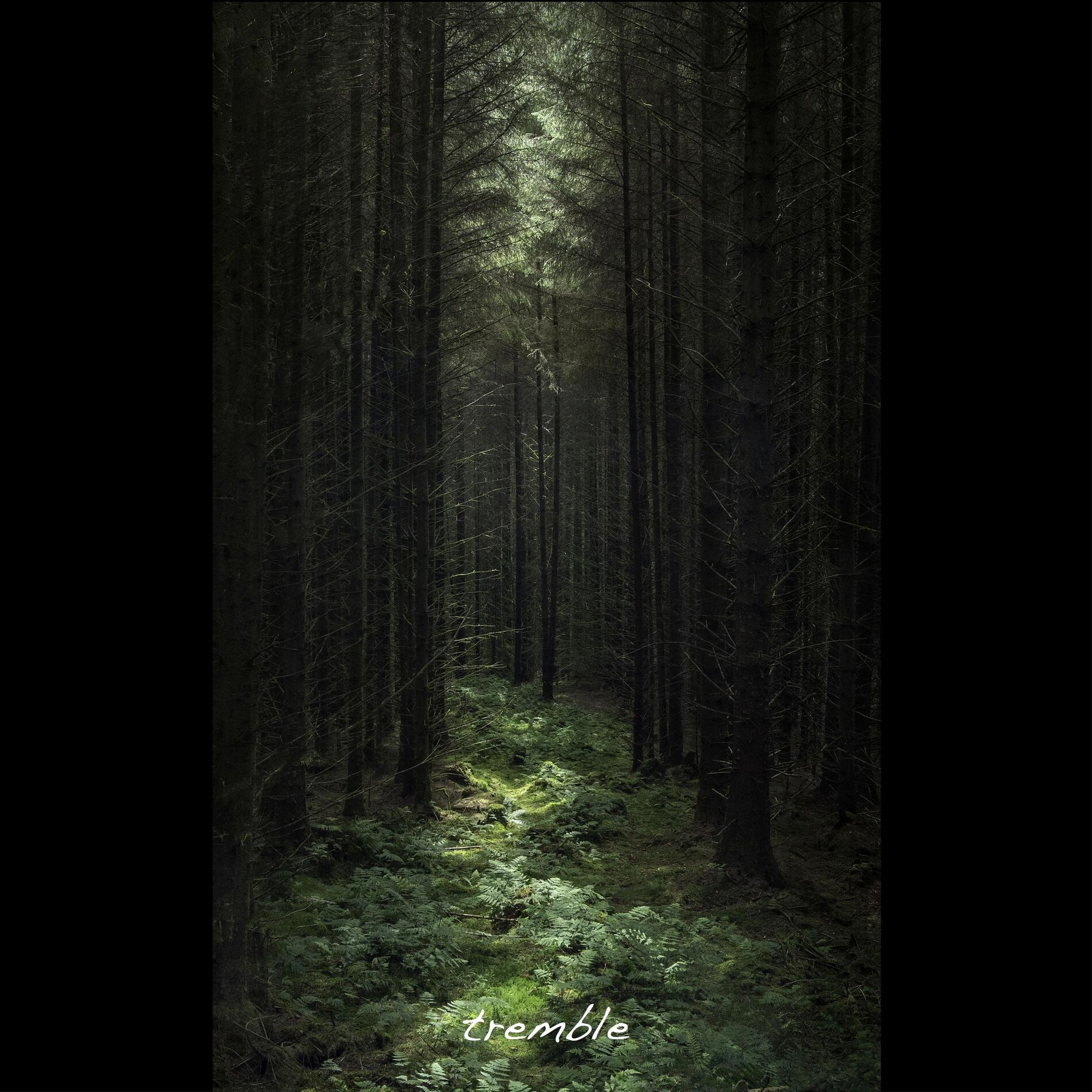 Album picture of Tremble