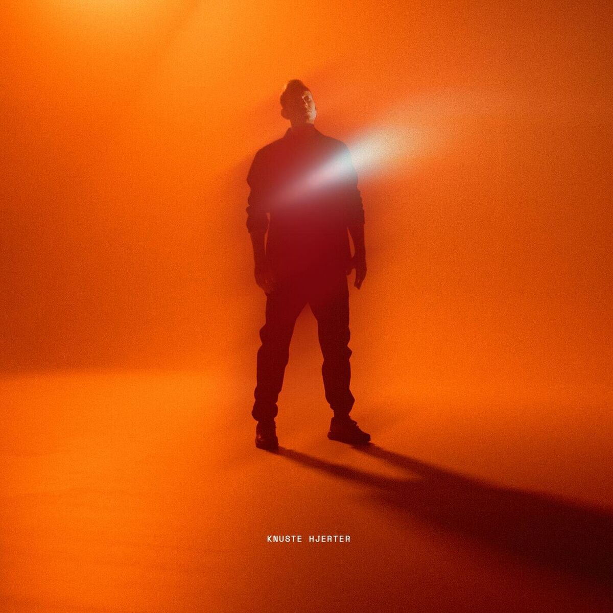 Album cover of Knuste Hjerter