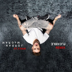 Cover of FLEXIBLE (Remix) [feat. T-Pain]