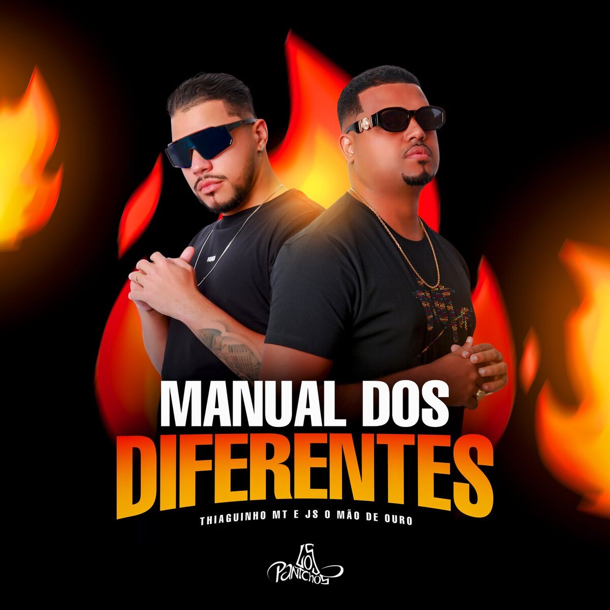 Album cover of Manual Dos Diferentes