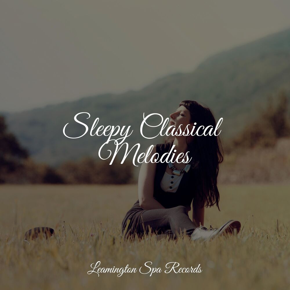 Picture of Sleepy Classical Melodies