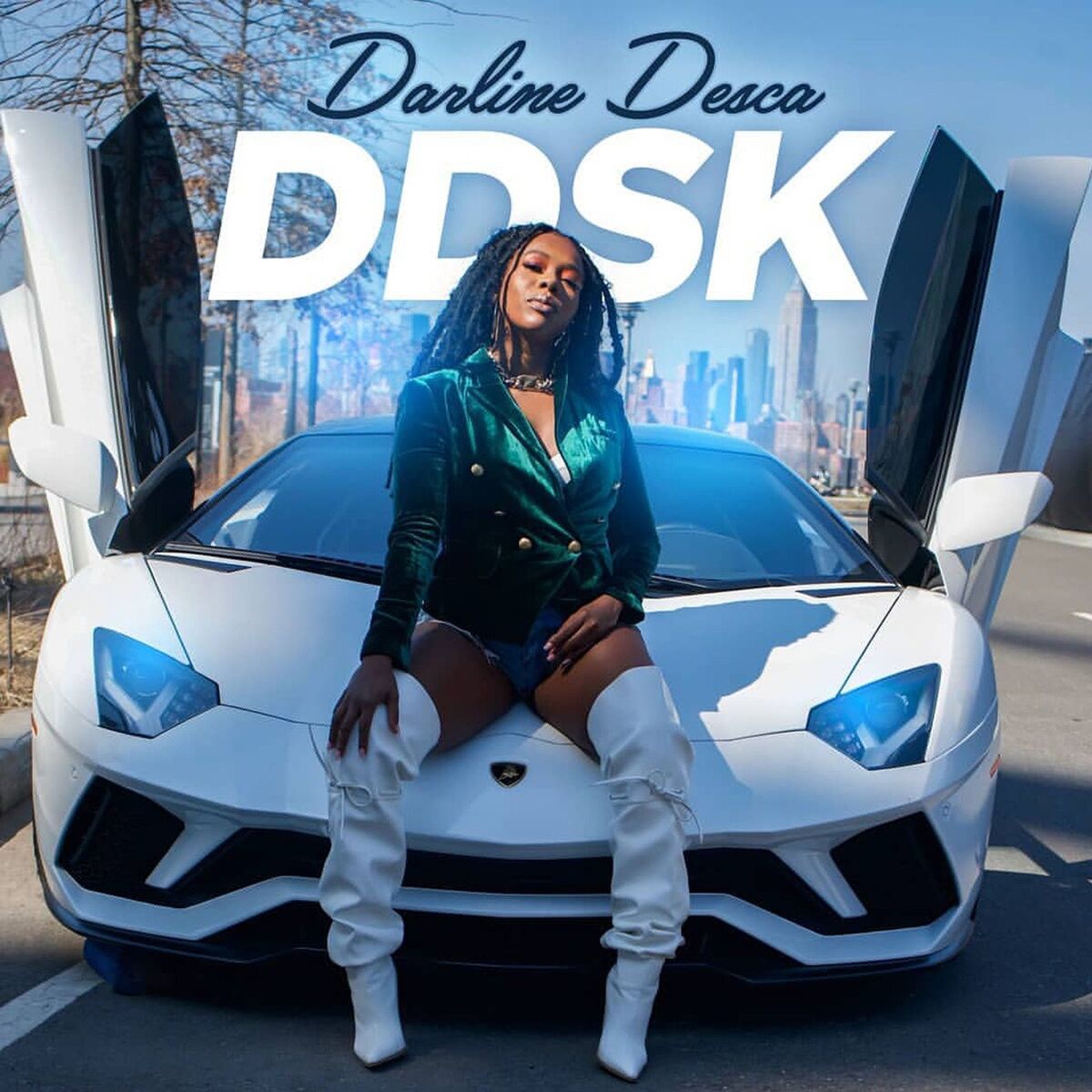 Album cover of Ddsk