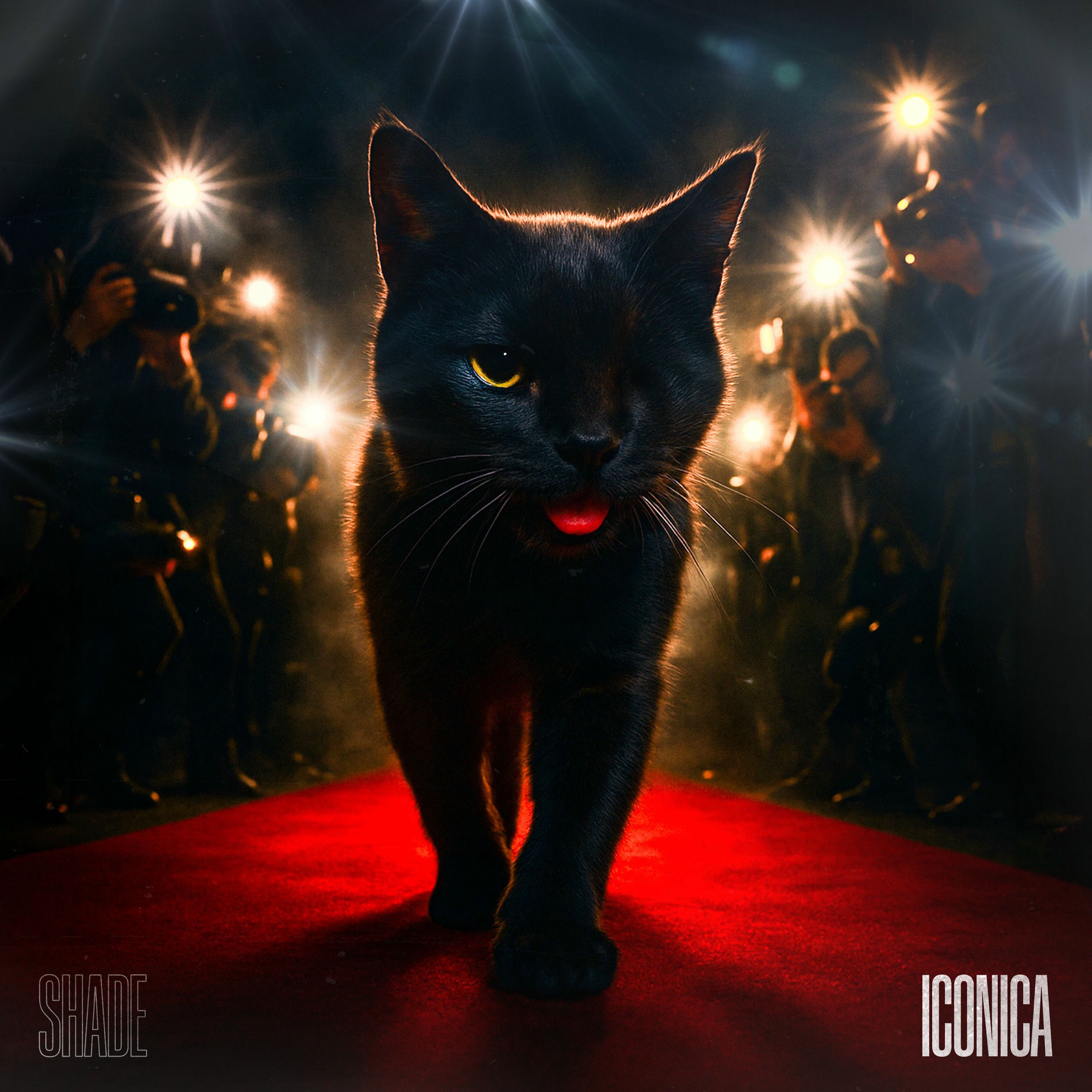 Album cover of Iconica