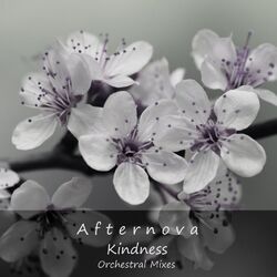 Cover of Kindness (Orchestral Mixes)