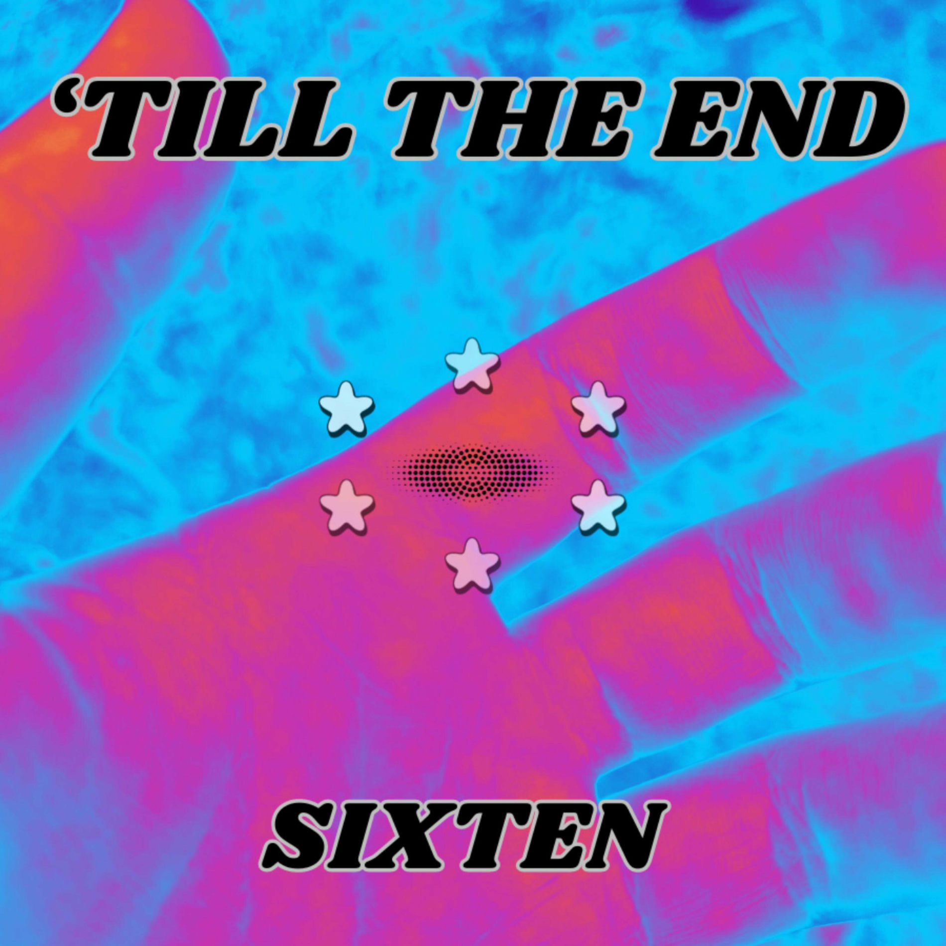 Album cover of 'Till The End