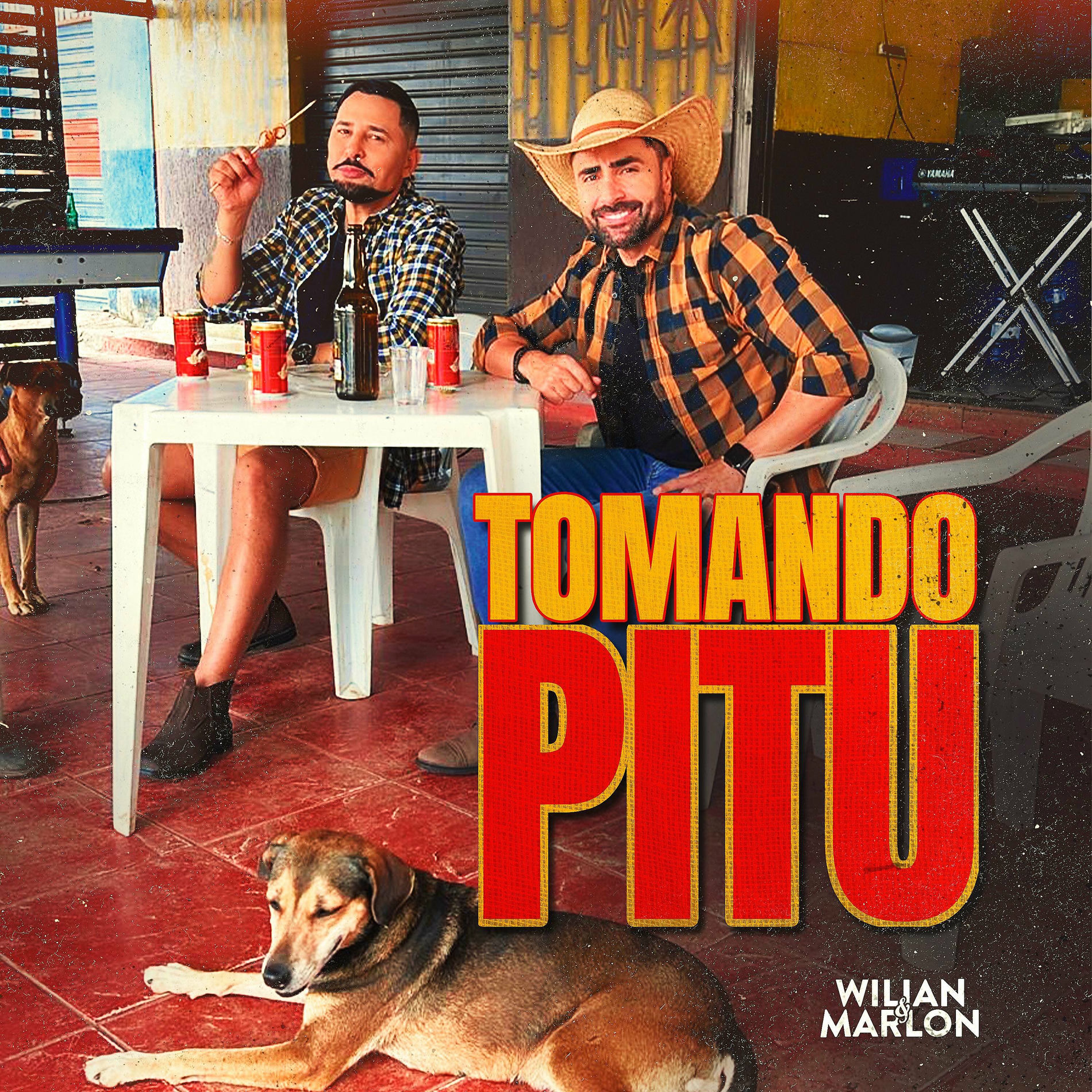 Album cover of Tomando Pitu