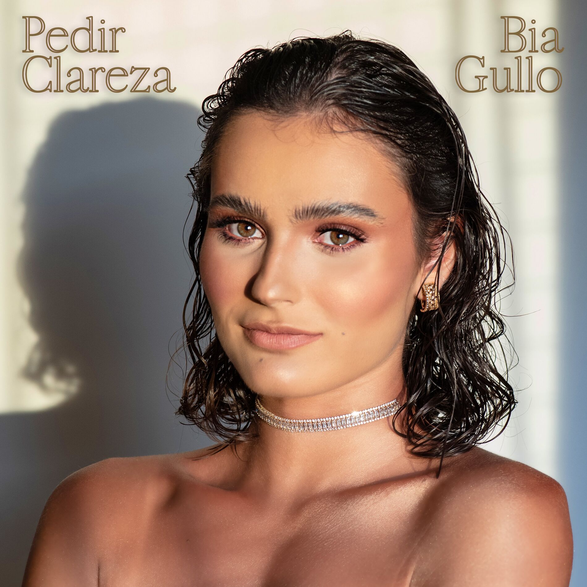 Album cover of Pedir Clareza