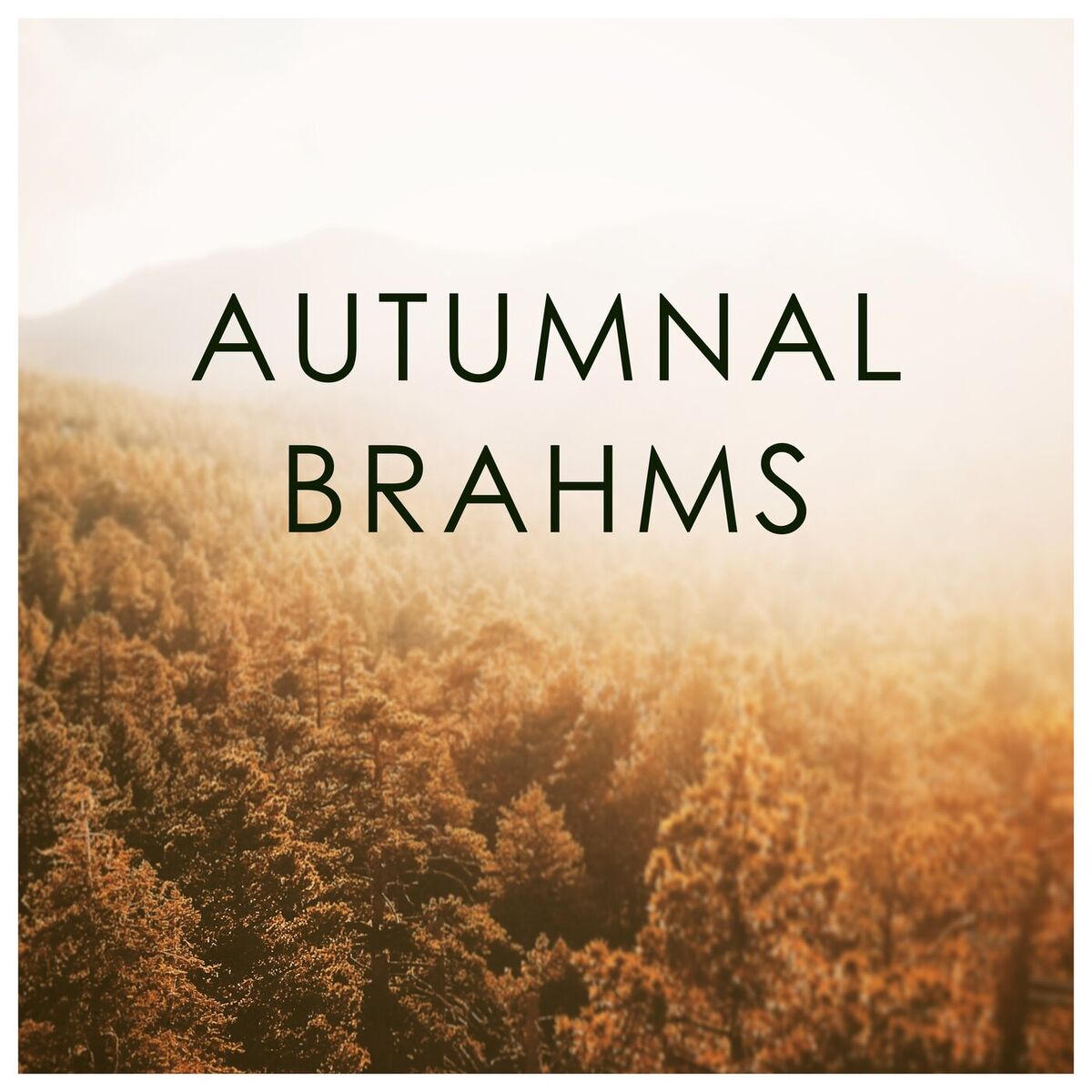 Album cover of Variations on a Theme by Paganini, Op. 35 / Book 1 : Brahms: Variations on a Theme by Paganini, Op. 35 / Book 1: Variation XIV: Allegro - Presto, ma non troppo