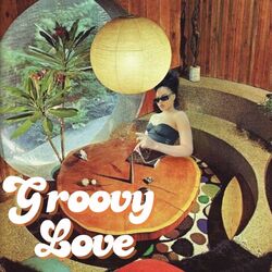 Cover of Groovy Love