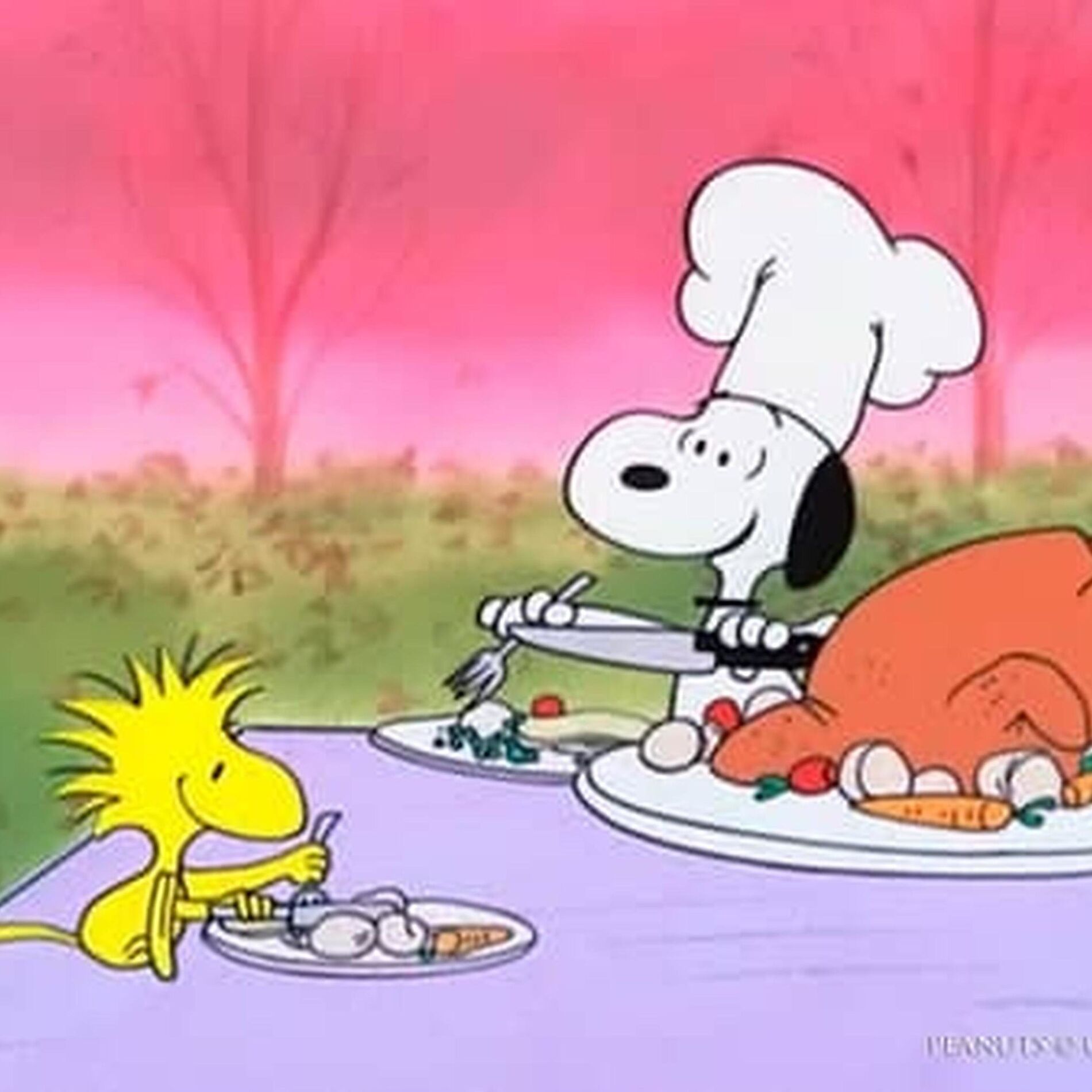 Album cover of cut like a turkey