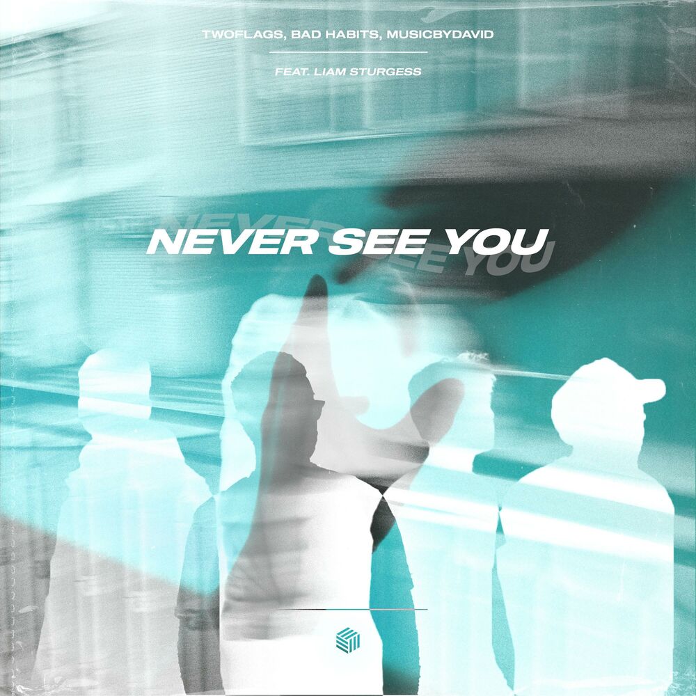 Picture of Never See You