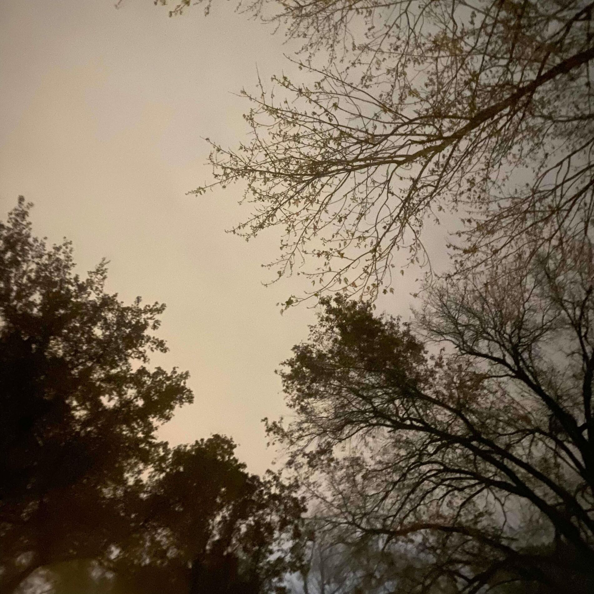 Album cover of Twilight